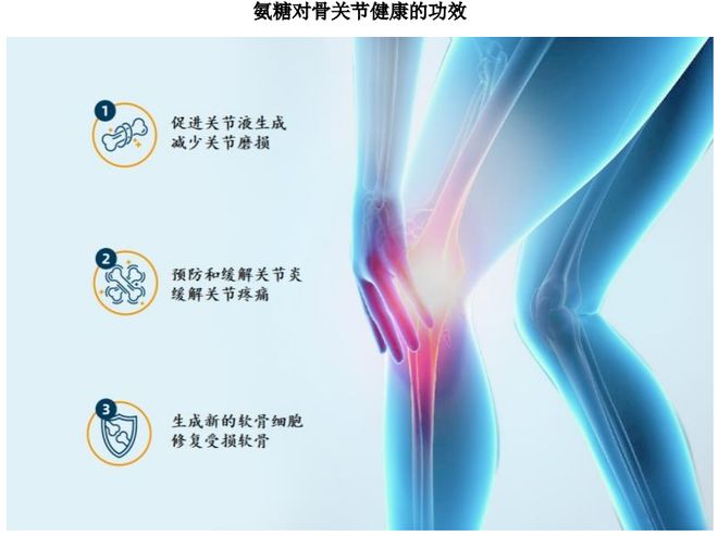HMB全球龙头技源集团:扎根运动健康赛道凭多元布局赢长远未来(图3)