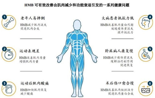 HMB全球龙头技源集团:扎根运动健康赛道凭多元布局赢长远未来(图2)